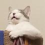 @Dat___Cat