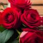 @FilipinaVlog-od1et