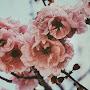 @sallymcnally3484