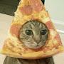 @onlyonecat2527