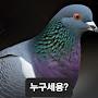 @새대갈12