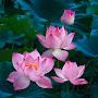 @Nguyenhien6728-g9v