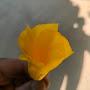 @Sa_ndeep1234