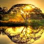 @deepakkulkarni2552
