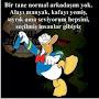 @zeynepkoc3342