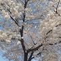 @Fullstop-