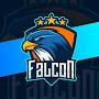 @falcon_gamer200