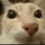 @bl00dy.c0rps3z