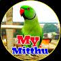 @mymitthuvlog7935