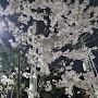 @경섭이사랑해요