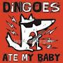 @dingokidneys