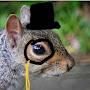 @sirsquirrel6176