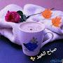 @احمدمحمداحمد-ث2غ
