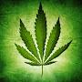 @StonerMusicDE