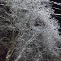 @인생을즐겨라-n8t