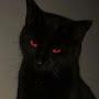 @masditwjya