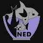 @cs2ned