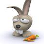 @ruderabbit797