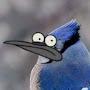 @roracle