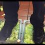 @footletuce1376
