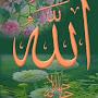 @ershadbhatti3425