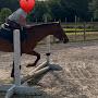 @Ilovecloseupshowstables
