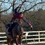 @Zara_Vaulting