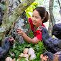 @dailygarden12