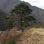 @보이는부동산부영TV