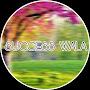 @SUCCESSWALA9th10th