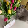 @sergii0765