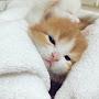 @user-ir5vz1mj7v