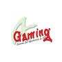 @AGaming_plus