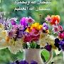 @aymanosman2963