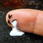 @dix4fingers301