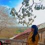 @manjudwivedi8494