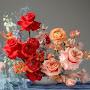 @KlaireLifestyleNetwork