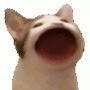 @COSTCOWBRAWLSTARS
