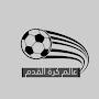 @aldroubi_06