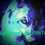 @nightthewolfyt359