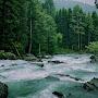 @kashmirheavenonearth6876