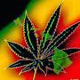 @cannabis1490