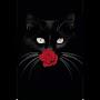 @MercilessWhiskers
