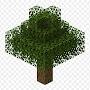 @Minecraft_tree111