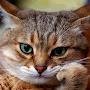 @ullu12345