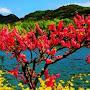 @sawansingh1494