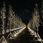 @Soolice-bs7wy