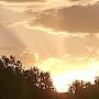 @wadeintonature2975
