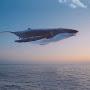 @bluewhale1985