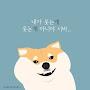 @욤욤-g2n